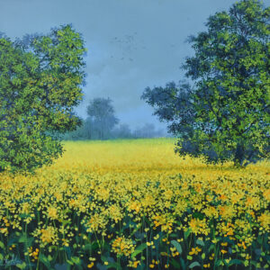 Two trees in mustard field